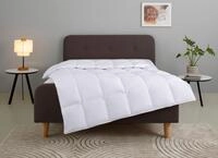 OTTO home G&auml;nsedaunenbettdecke "Litrone, Bettdecke 135x200 cm, 155x220 cm,...