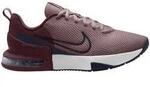 Nike Trainingsschuh "Air Max Alpha Trainer 6"