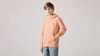 Levis Kids Hoodie "LVB MINI BATWING PULL OVER HOO", for BOYS