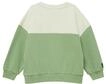 Sweatshirt S.OLIVER JUNIOR, Jungen, Gr. 92/98, gr&uuml;n, Sweatware, Obermaterial:...