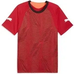 Trainingsshirt PUMA "individualFINAL Fu&szlig;balltrikot Herren", Herren, Gr. S,...