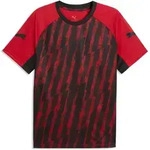 Trainingsshirt PUMA "individualLIGA Graphic Fu&szlig;balltrikot Herren", Herren, Gr. S,