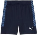 PUMA Trainingsshorts "TEAMLIGA26 TRAINING SHORTS" atmungsaktives Material, mit