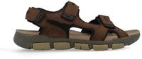 Sandale WRANGLER "BUSTER SANDAL MEN LOW", Herren, Gr. 42, coffee bean,...