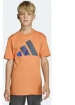 T-Shirt ADIDAS SPORTSWEAR "ESSENTIALS KIDS", M&auml;dchen, Gr. 176, dusky orange,...