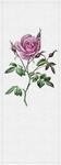 living walls Fototapete "Walls by Patel Spring Panels 2" glatt Vlies, Wand,...
