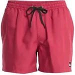 Boardshorts QUIKSILVER "Everyday Deluxe 15", Herren, Gr. L, burnt russet,