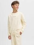 Jack & Jones Junior Sweatshirt "JORNORREBRO EMB SWEAT CREW NOOS JNR"