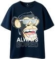 Name It T-Shirt "NKMFADDY BOD SS NREG TOP BOX SKY"