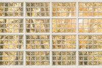Architects Paper Fototapete "Atelier 47 Brick of Glass 1" botanisch glatt Vlies,