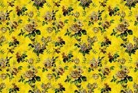 living walls Fototapete "Walls by Patel Wild Roses 5" glatt Vlies, Wand,...