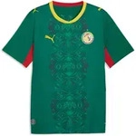 Trainingsshirt PUMA "Senegal 2026 Ausw&auml;rtstrikot Herren", Herren, Gr. S, gr&uuml;n (wild
