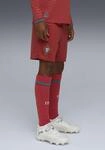 Trainingsshorts PUMA "FPF SHORTS REPLICA JR", Kinder, Gr. 176, N-Gr, club rot, gr&uuml;n