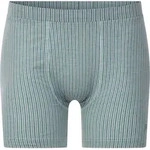 Retro Pants BABISTA "Retropant CORLANDO", Herren, Gr. M, grau, Obermaterial: 95%