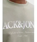 Sweatshirt "JJDEVIN DAYTONA PRINT SWEAT CREW N PLS", Herren, Gr. 5XL, vetiver,
