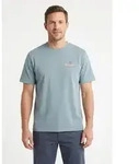 T-Shirt TIMBERLAND "Illustrated Tree Logo Back Graphic", Jungen, Gr. L, citadel,