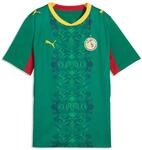 Trainingsshirt PUMA "Senegal 2026 Ausw&auml;rtstrikot Jugendliche", Kinder, Gr. 176, wild