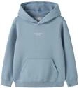 Kapuzensweatshirt NAME IT "NKMBRODY LS NREG SWEAT WH BRU NOOS", Jungen, Gr....