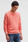 Sweater CAMP DAVID, Herren, Gr. XXL, wild salmon, Jersey, Material: 92% Baumwolle, 8%