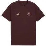 T-Shirt PUMA "Stade Rennais FC KING T-Shirt Herren", Herren, Gr. S, braun...