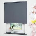 Seitenzugrollo LIEDECO "Uni" Gr. 8, grau (dunkelgrau), B:162cm H:180cm,...