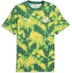 T-Shirt PUMA "Senegal ftblCulture T-Shirt mit Print Herren", Herren, Gr. S, wild