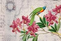 living walls Fototapete "ARTist Bird Discovery" Vlies, Wand, Schr&auml;ge