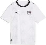 Trainingsshirt PUMA "&Auml;gypten 2026 Ausw&auml;rtstrikot Jugendliche", Kinder, Gr. 176,