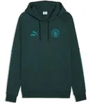 Hoodie PUMA "Manchester City KING Hoodie Herren", Herren, Gr. S, gr&uuml;n terrain