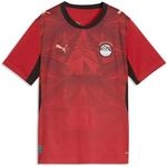 Trainingsshirt PUMA "&Auml;gypten Heimtrikot Jugendliche", Kinder, Gr. 176, rot intense,