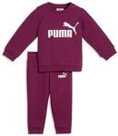 Trainingsanzug PUMA "MINICATS ESS CREW SET FL INF", Jungen, Gr. 68, fuchsia...
