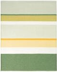 Biederlack Plaid "Plaid Spring" im frischem Design
