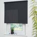 Seitenzugrollo LIEDECO "Uni" Gr. 4, grau (dunkelgrau), B:102cm H:180cm,...