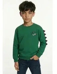 Sweatshirt NAME IT "NMMKETIL LS NREG SWEAT UNB", Jungen, Gr. 92, gr&uuml;n (verdant