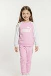 Trainingsanzug PUMA "MINICATS ESS RAGLAN CREW SET FL INF", Jungen, Gr. 68, pink