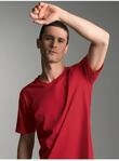 T-Shirt TRIGEMA "TRIGEMA V-Shirt DELUXE", Herren, Gr. S, braun (kirsch), Single
