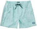 Boardshorts BILLABONG "D Bah Taped 17", Herren, Gr. S, blau (sky blau),