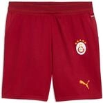 PUMA Trainingsshorts "GSK SHORTS REPLICA JR" aus Polyester, schnelltrocknend,