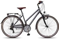 WYNN Trekkingrad "Trekkingrad 28 Zoll Shimano Tourney 21 Gang TRK1.0 Federgabel