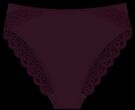 Triumph Slip "Amourette Tai" Stretch-Spitze