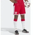 Trainingsshorts ADIDAS PERFORMANCE "FC BAYERN M&Uuml;NCHEN 26/27", Herren, Gr. L,...