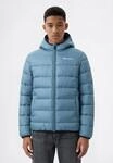 Steppjacke CHAMPION "SPORTWEAR JACKET Standard Fit", Jungen, Gr. L, wdwb,