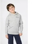 Kapuzensweatshirt CHAMPION "SPORTWEAR HOODIE Standard Fit", Jungen, Gr. M...