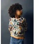Sweatshirt NAME IT "NMMOSWALDY LS NREG SWEAT BRU BOX", Jungen, Gr. 92, bunt...