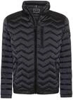 Winterjacke PIERRE CARDIN "Pierre Cardin Jacke", Herren, Gr. 50, schwarz (asphalt),