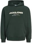 Jack & Jones Kapuzensweatshirt "JJABBO SWEAT HOOD", Baumwollmischung, locker