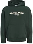 Kapuzensweatshirt JACK & JONES "JJABBO SWEAT HOOD", Herren, Gr. L, gr&uuml;n (scarab),