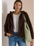 Softshelljacke CECIL, Damen, Gr. S (38), braun (chocolate sauce braun),...