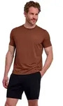 T-Shirt FALKE "FALKE T-Shirt", Herren, Gr. S, braun (chestnut (5534)), Shirts T-Shirt
