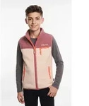 Fleeceweste TROLLKIDS "KIDS HEMSEDAL VEST", Jungen, Gr. 140, rosa (frozen berry,